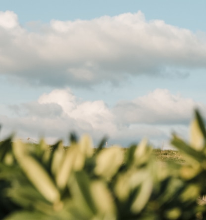 ourmissionpage ourstory img 2.jpg